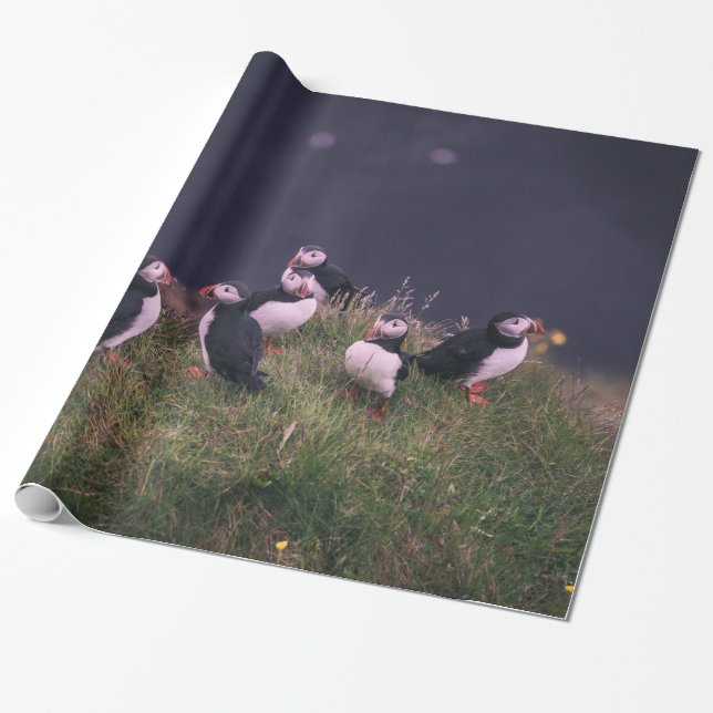 Papier Cadeau Puffins de l'Atlantique (Déroulé)