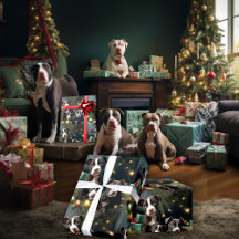 Pups Pitbull Noir et Blanc Noël