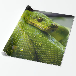 Papier Cadeau Python