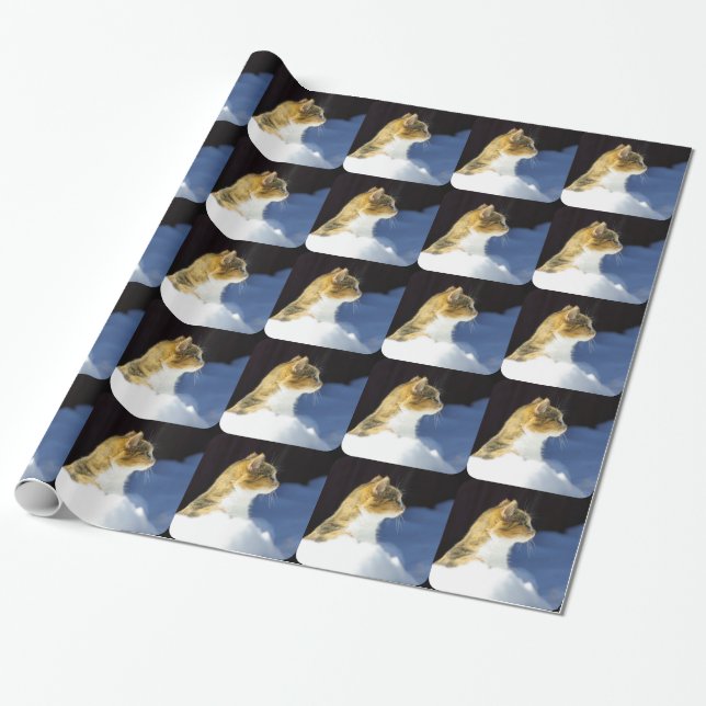 Papier Cadeau Qu'est ? (Déroulé)