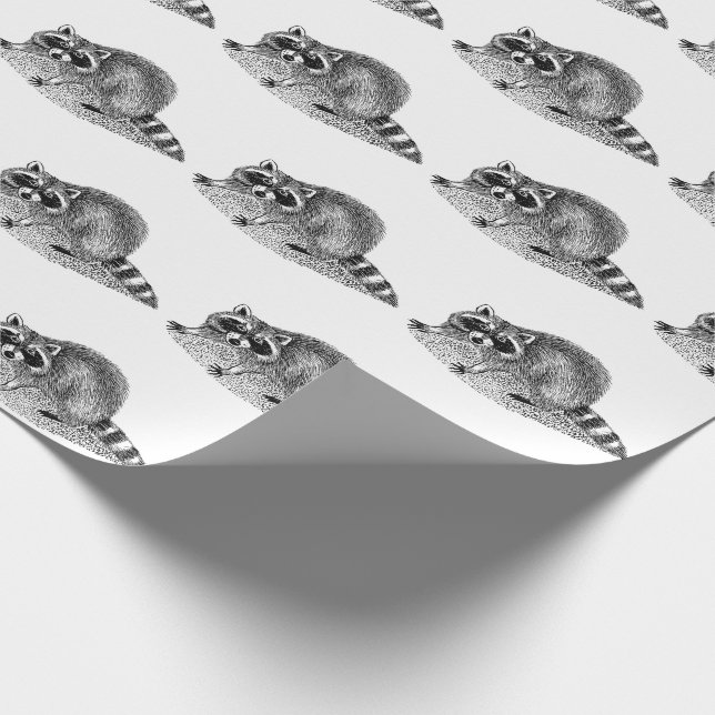 Papier Cadeau Raccoon masqué vintage (Coin)