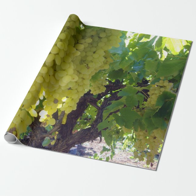 Papier Cadeau Raisins De Sultana Sur Une Vigne De Raisin, (Déroulé)