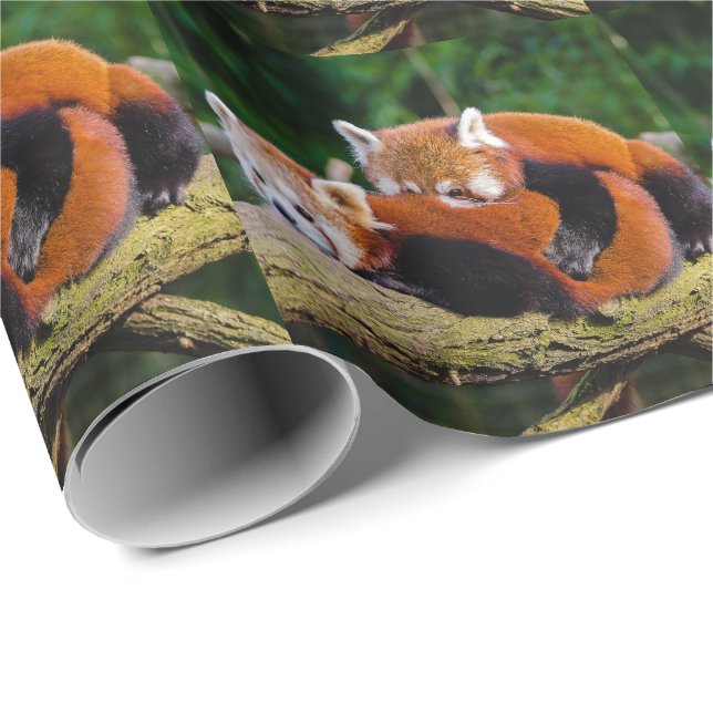 Papier Cadeau Red Pandas (Coin rond)