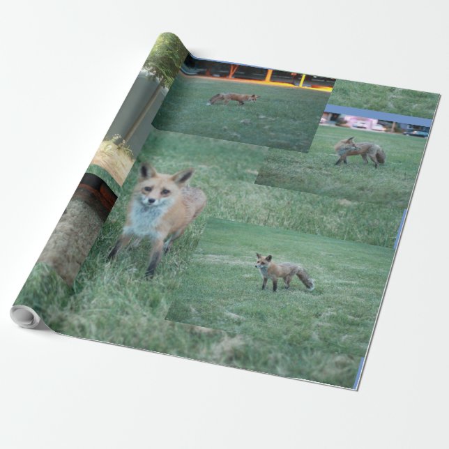 Papier Cadeau Renard et pays avec grange, renard rouge (Déroulé)