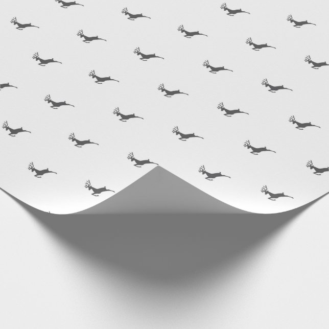 Papier Cadeau Renouveau (Coin)