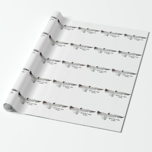 Papier Cadeau Répandre Ces Ailes