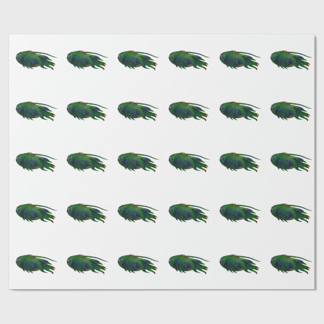 Papier Cadeau Réplique du fossile de Coelacanth (Plat)