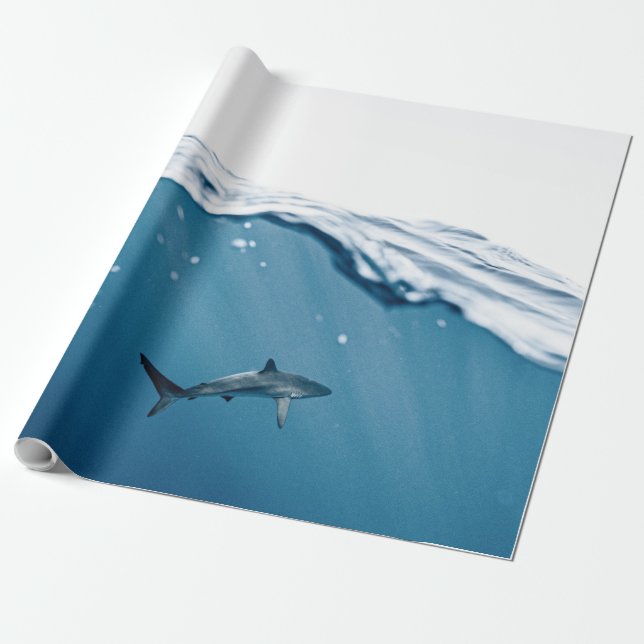 Papier Cadeau Requin Merveilleux (Déroulé)
