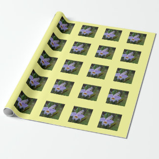 Papier Cadeau Rôle de cadeau photographique