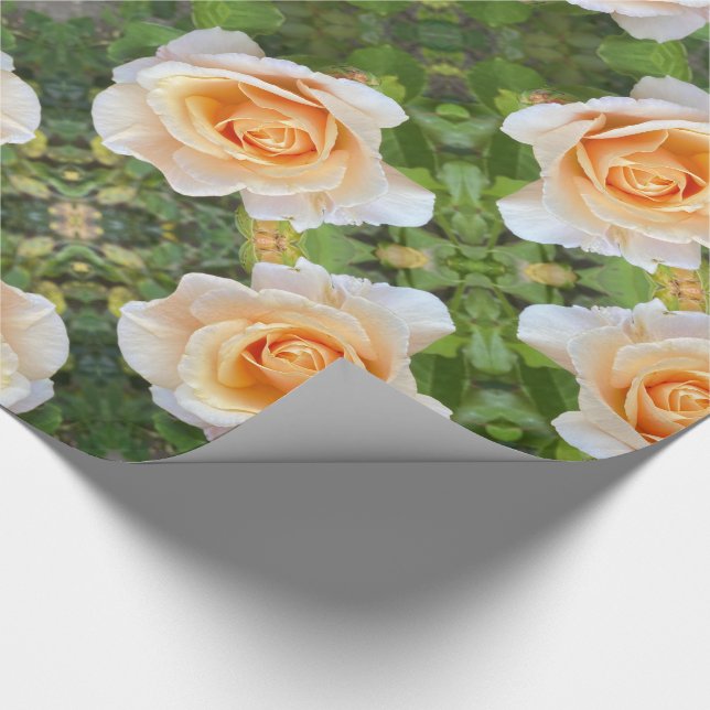 Papier Cadeau Romantique Orange Rose Fleurs Roses Florales (Coin)