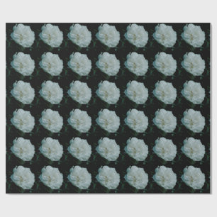 Papier Cadeau Rose blanche