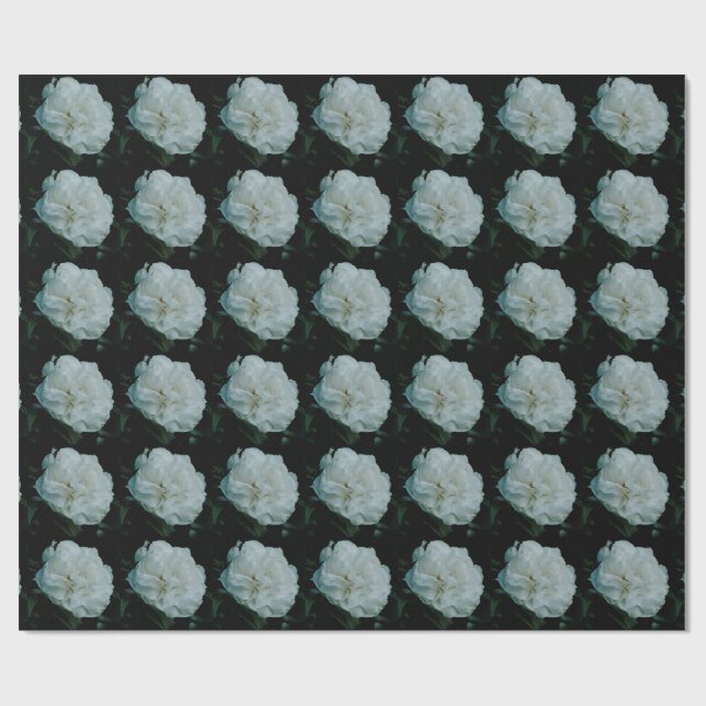 Papier Cadeau Rose blanche (Plat)