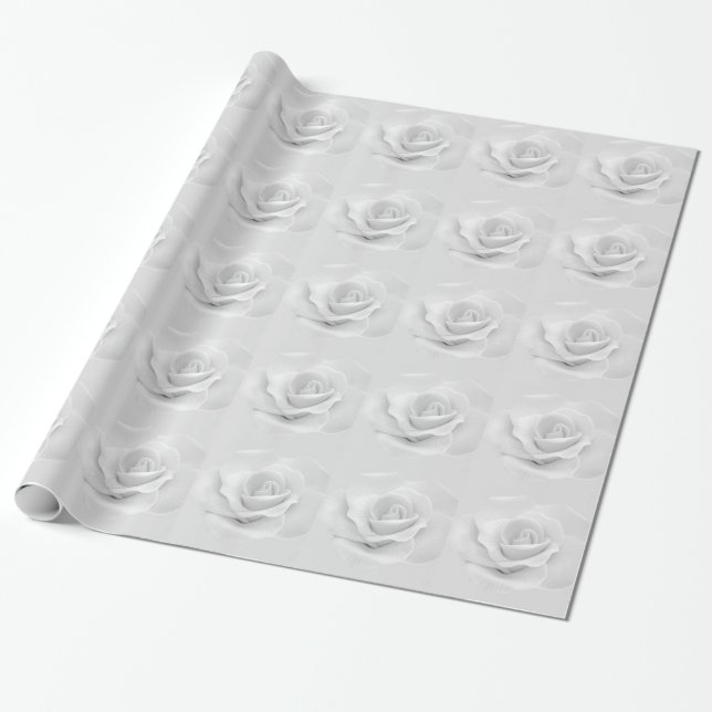 Papier Cadeau Rose blanche (Déroulé)