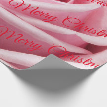 Rose rose Joyeux Noël