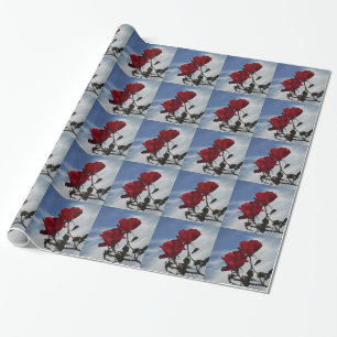 Papier Cadeau Roses rouges contre un ciel bleu vif