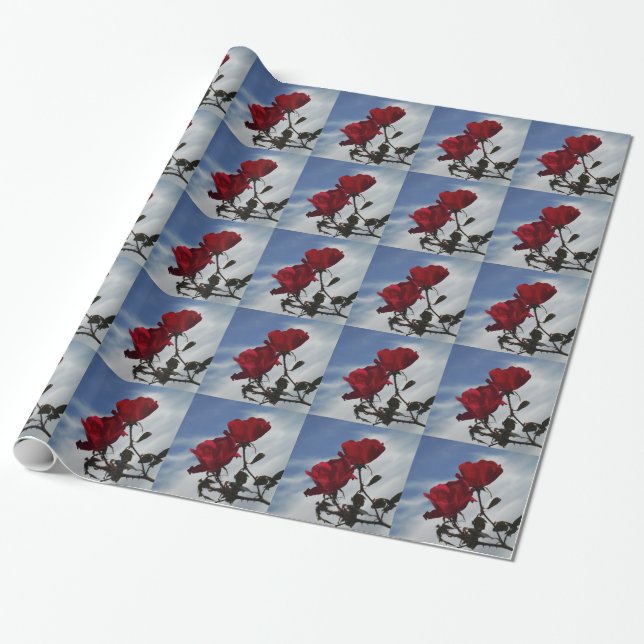 Papier Cadeau Roses rouges contre un ciel bleu vif (Déroulé)