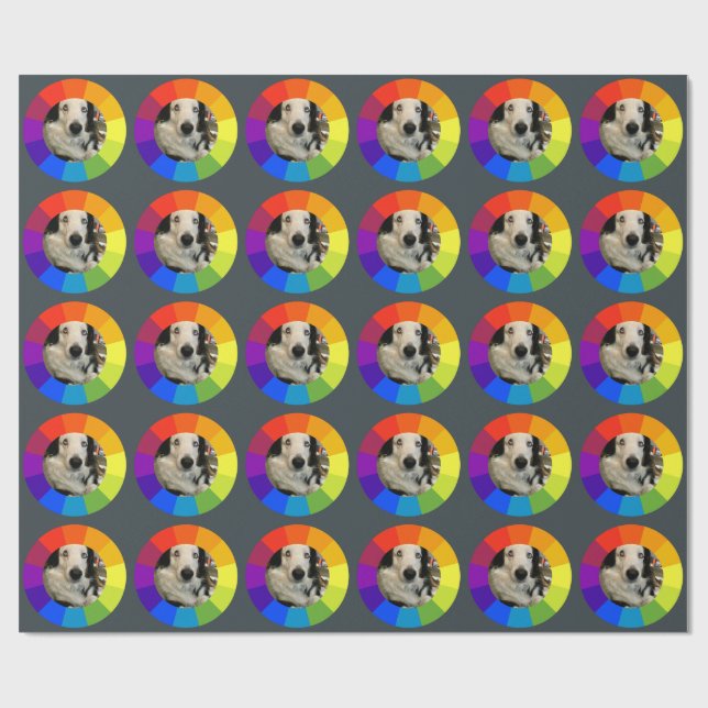 Papier Cadeau Roue chromatique arc-en-ciel (Plat)