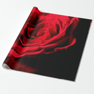 Papier Cadeau Rouge rose valentine jour closeup macro design, ro