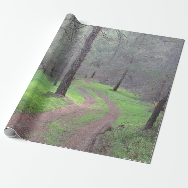 Papier Cadeau Route de la Pine Forest (Déroulé)