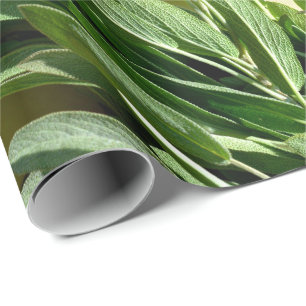 Papier Cadeau Sage frais coupé