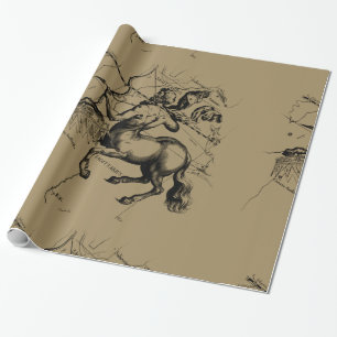 Papier Cadeau Sagittarius Constellation Carte Engraving Hevelius