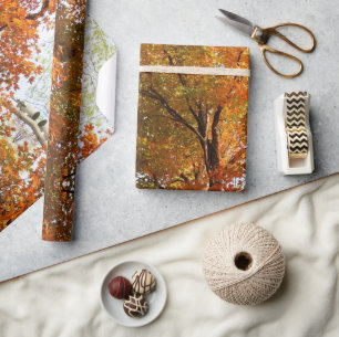 Papier Cadeau Saison Abstraite de l'automne