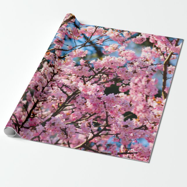 Papier Cadeau Sakura Arbre À Vivre En Fleur Rose (Déroulé)