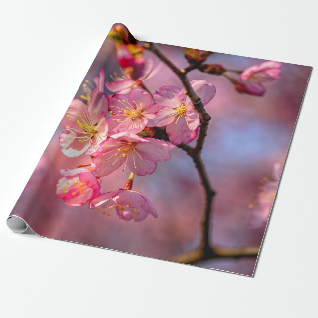 Papier Cadeau Sakura cool Fleurs Sur Un Cerisier (Déroulé)