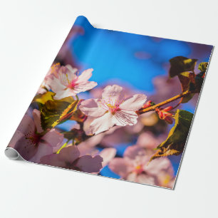 Papier Cadeau Sakura En Rose Et Bleu