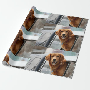 Papier Cadeau Salut