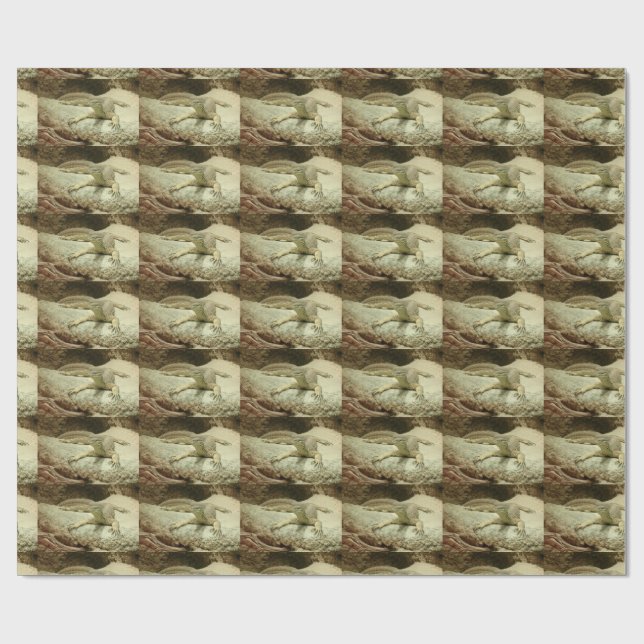 Papier Cadeau Sand goanna (Plat)