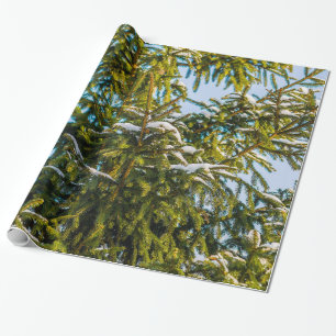 Papier Cadeau Sapin de Noël vert dans la neige