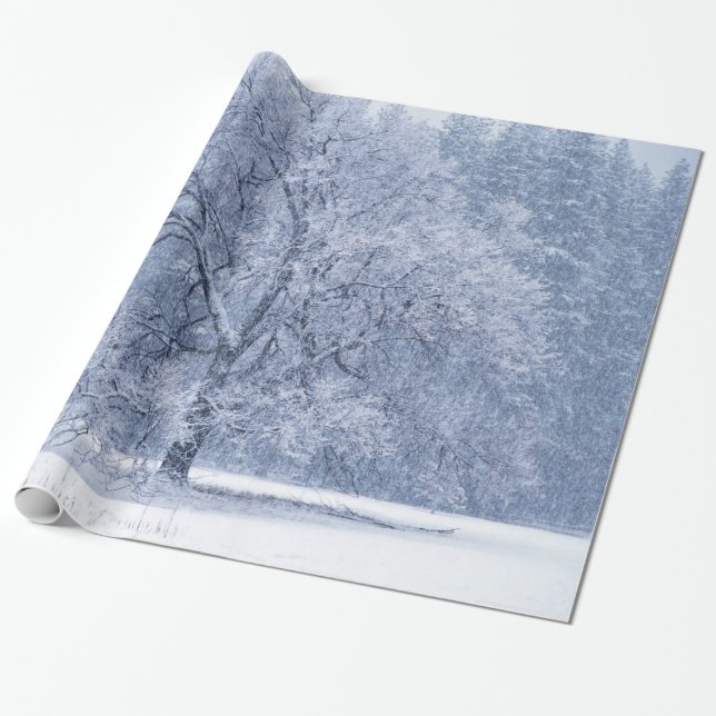 Papier Cadeau Scène congelée par hiver d'arbre de Milou (Déroulé)