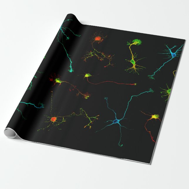 Papier Cadeau science (Déroulé)