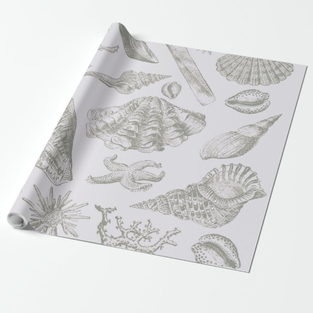 Papier Cadeau Seashell Soft Antique Art Beach Shops (Déroulé)