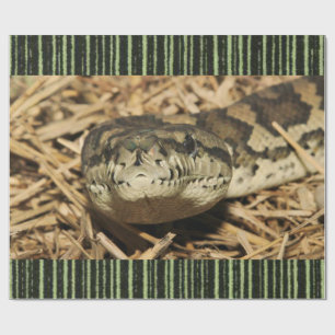 Papier Cadeau Serpent de papier à envelopper brillant