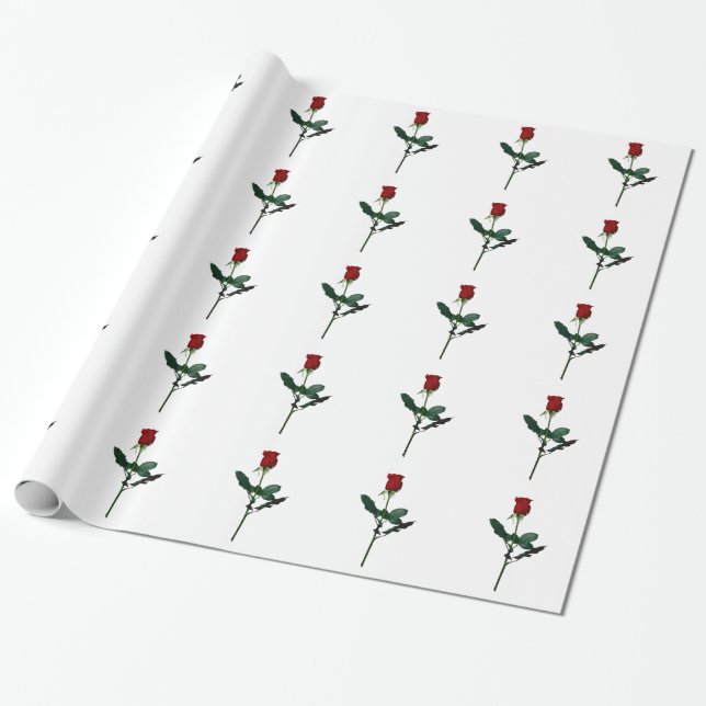 PAPIER CADEAU S'EST LEVÉ (Déroulé)