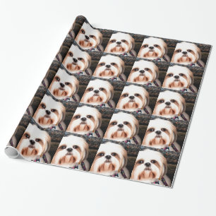 Papier Cadeau Shih Tzu