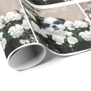Papier Cadeau Shih Tzu et roses