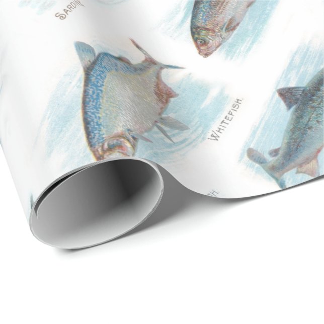Papier Cadeau Sous la mer (Coin rond)