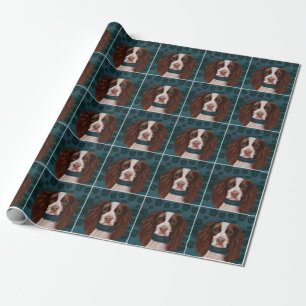 Papier Cadeau Springer Spaniel Anglais    