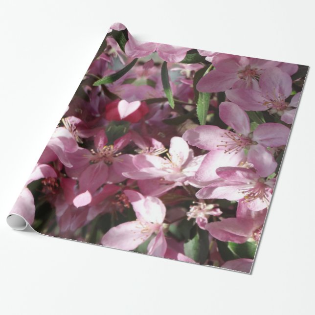 Papier Cadeau Sprung de printemps (Déroulé)