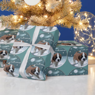 Papier Cadeau St Bernard Noël