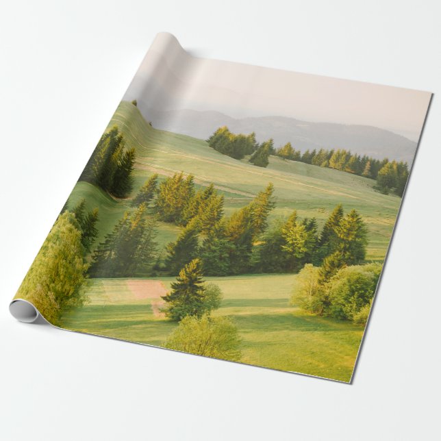 Papier Cadeau summer mountains green grass and blue sky landscap (Déroulé)