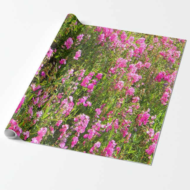 Papier Cadeau Sweetpeas on the hill.... (Déroulé)