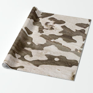 Papier Cadeau Sycamore Tree Bark