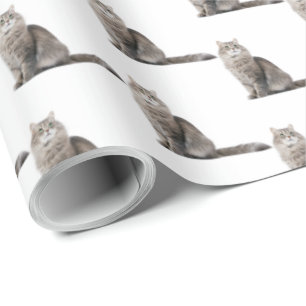 Papier Cadeau tabby, chat