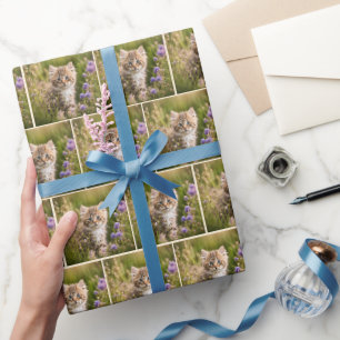 Papier Cadeau Tabby Kitten En Fleur sauvage