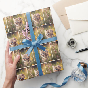 Papier Cadeau Tabby Kitten En Fleur sauvage
