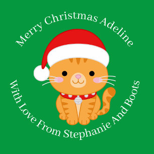 Papier Cadeau Tabby Orange Chat De Noël Vert